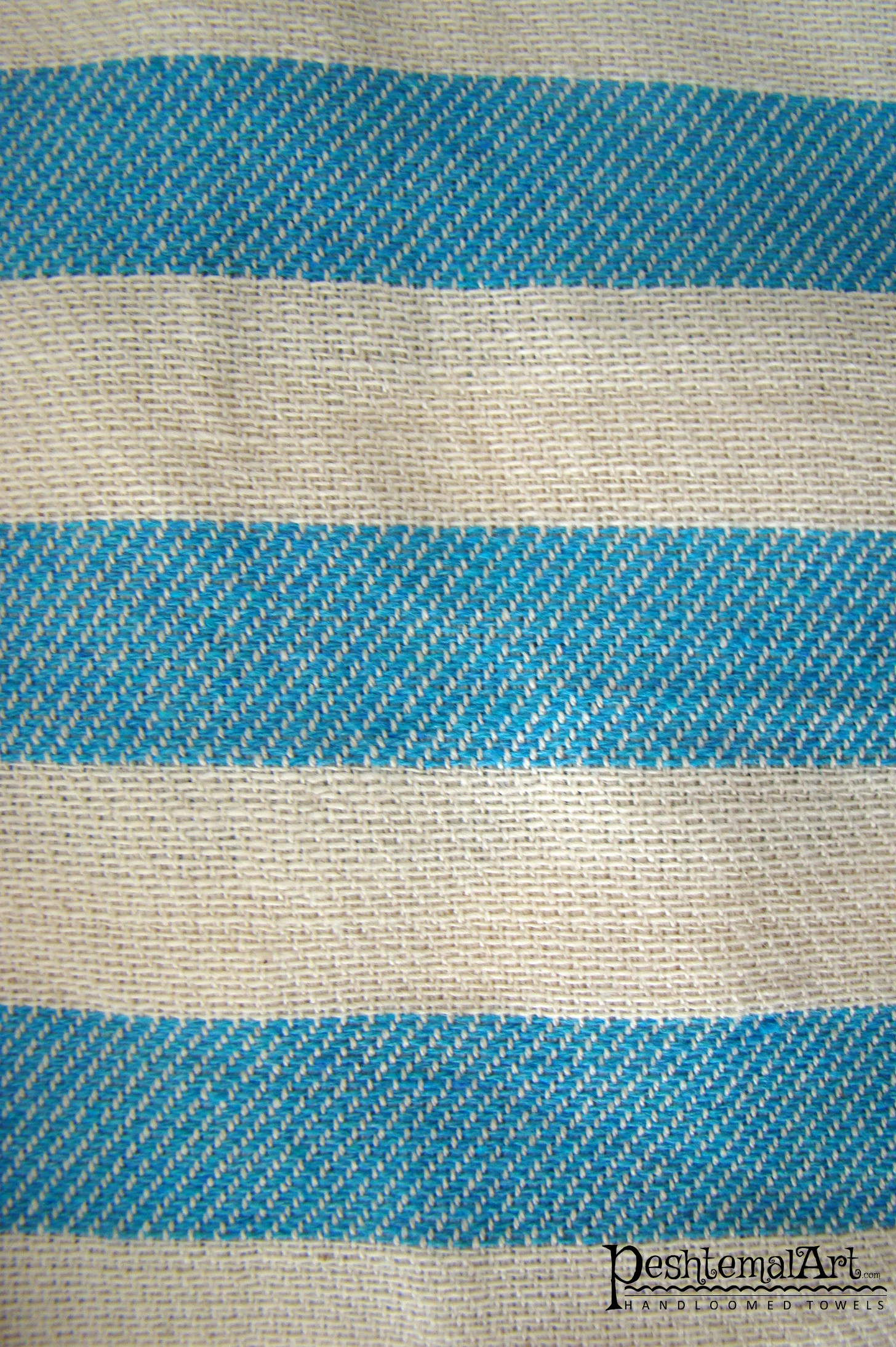 Blue Zebra Beach Towel